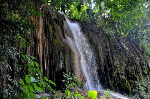Read more about the article Phu Sang waterfall