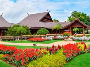 Read more about the article Doi Tung