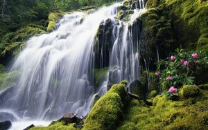 Read more about the article Wang Kaeo Waterfall