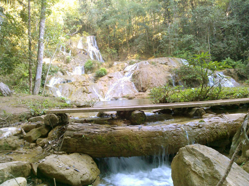 WP_001309 WP_001309