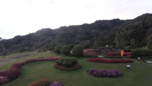 Read more about the article Doi Tung