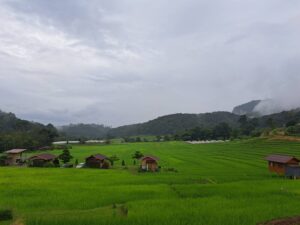 Read more about the article Inthanon National park